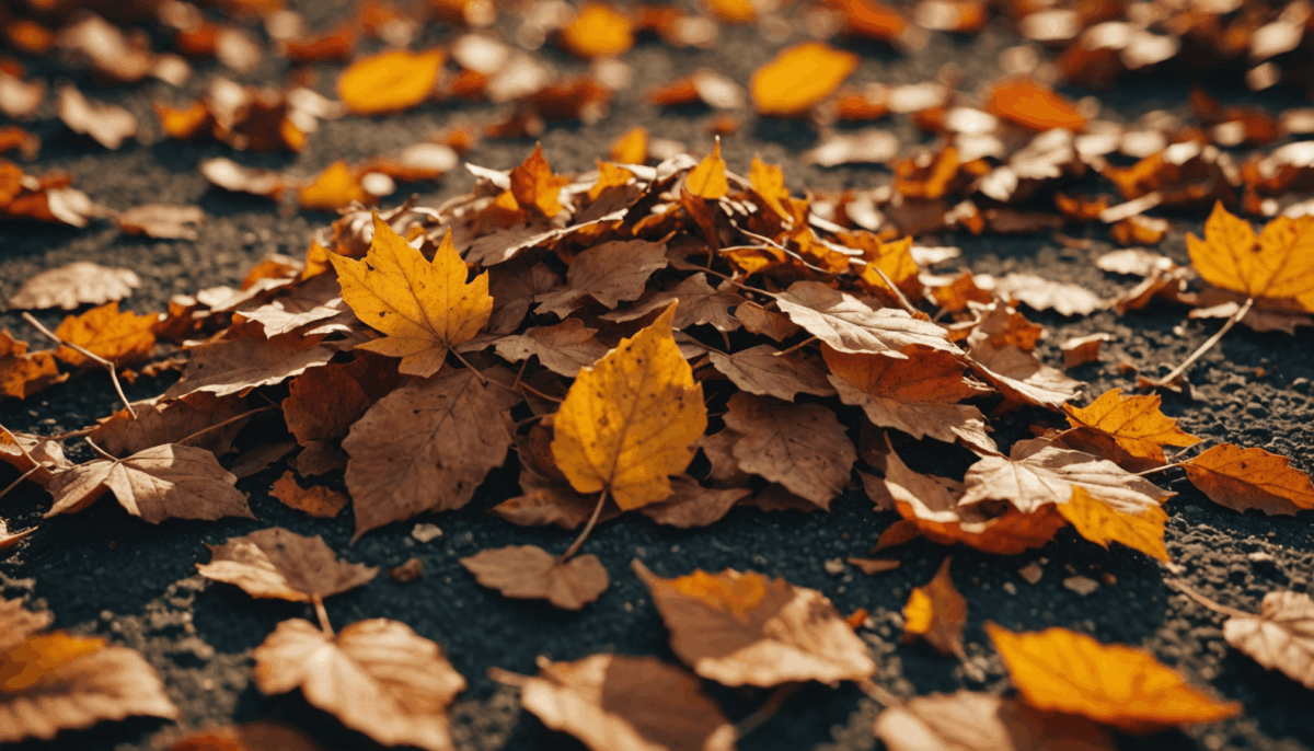 pag-image-68717b4e42f45